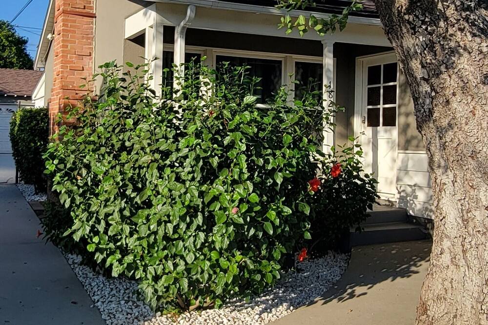 Photo of Outdoor in Northridge