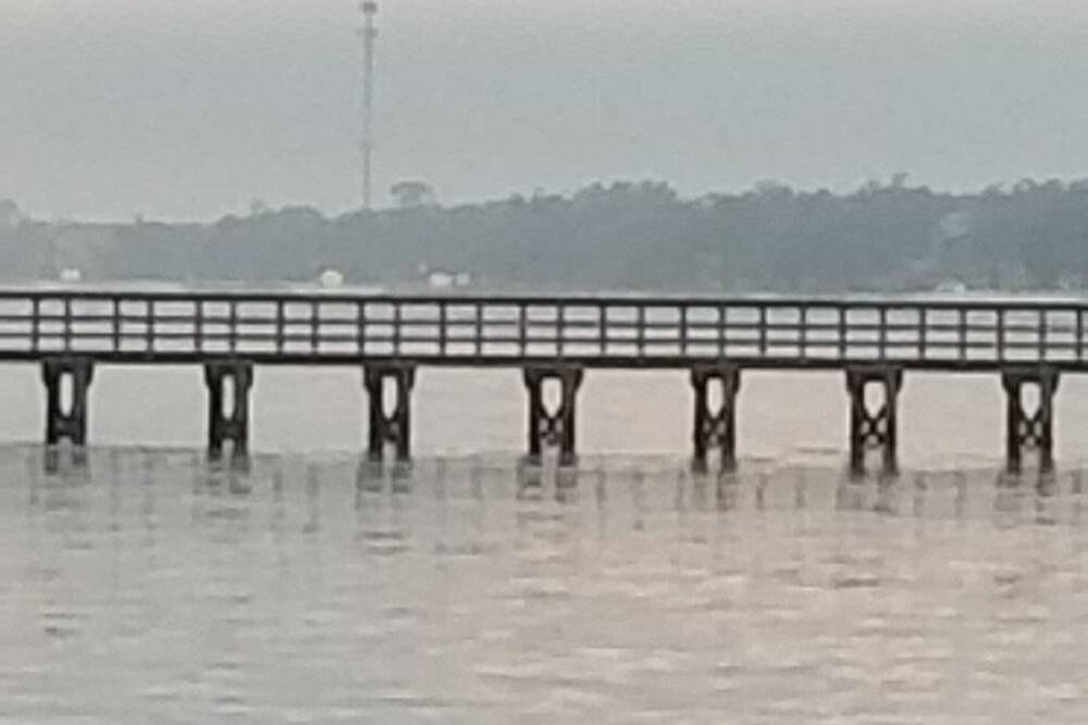 Photo of Others in Shoreline Park