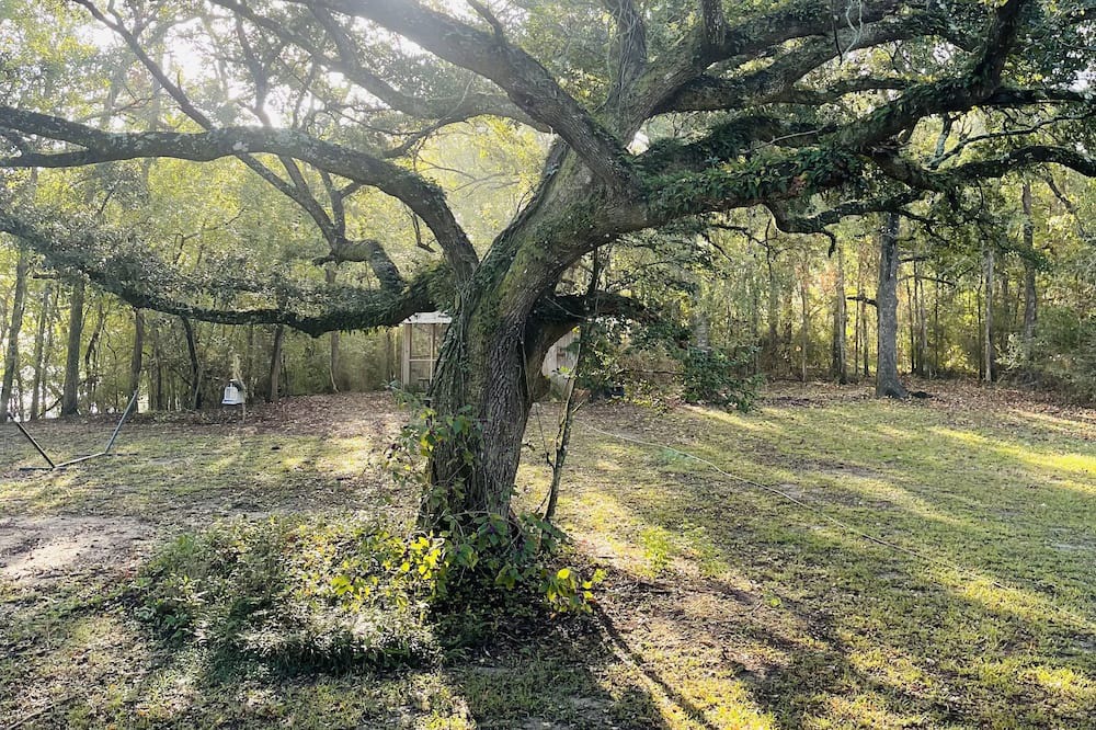 Photo of Outdoor in Milton