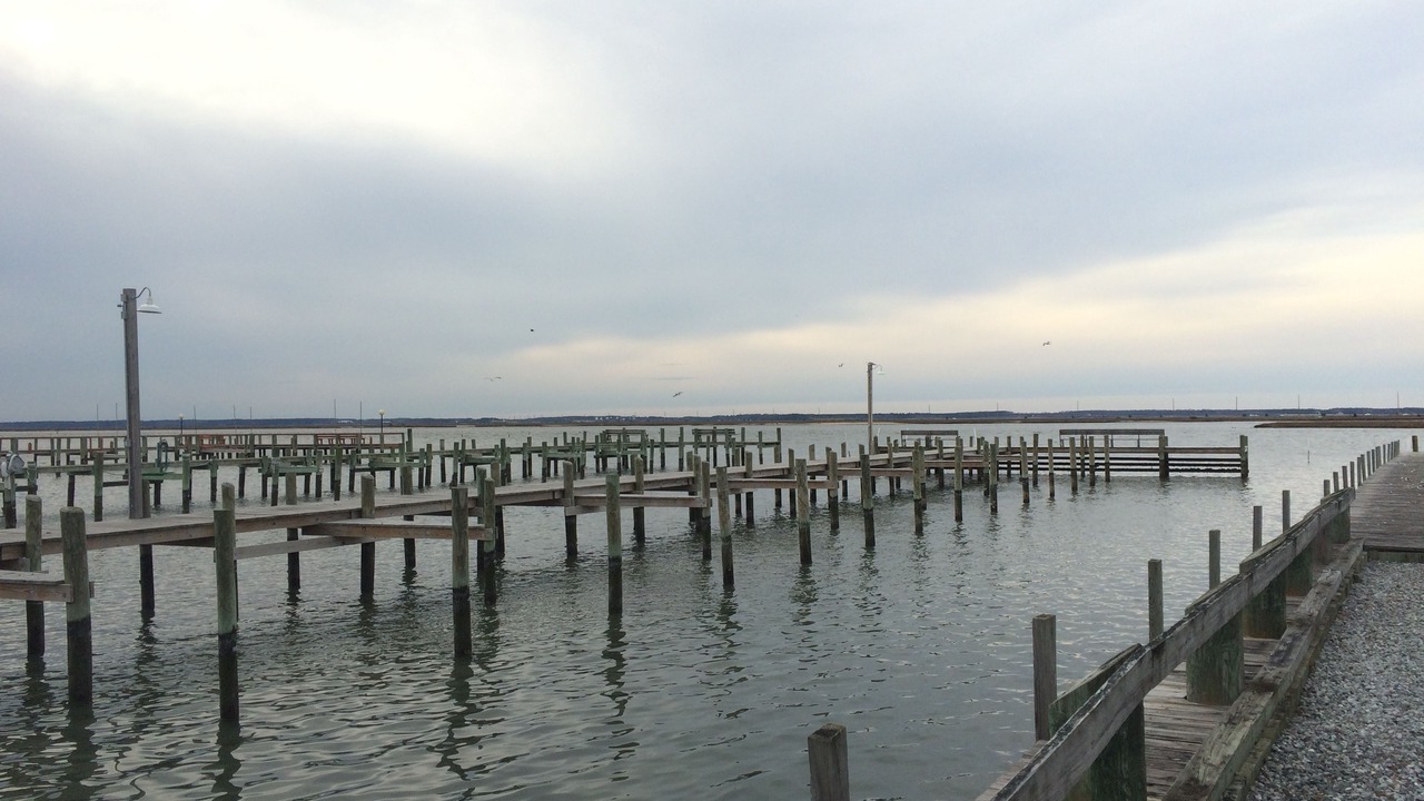 Photo of Others in Chincoteague