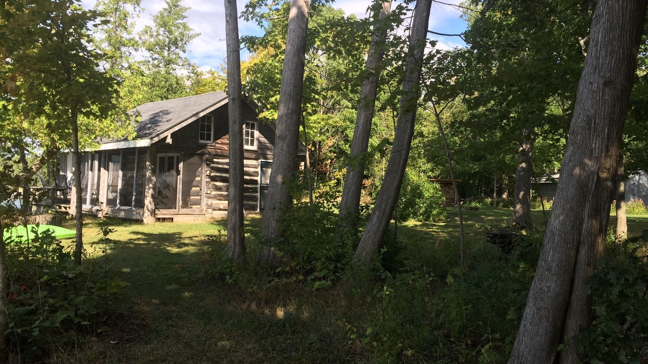Photo of Outdoor in Picton