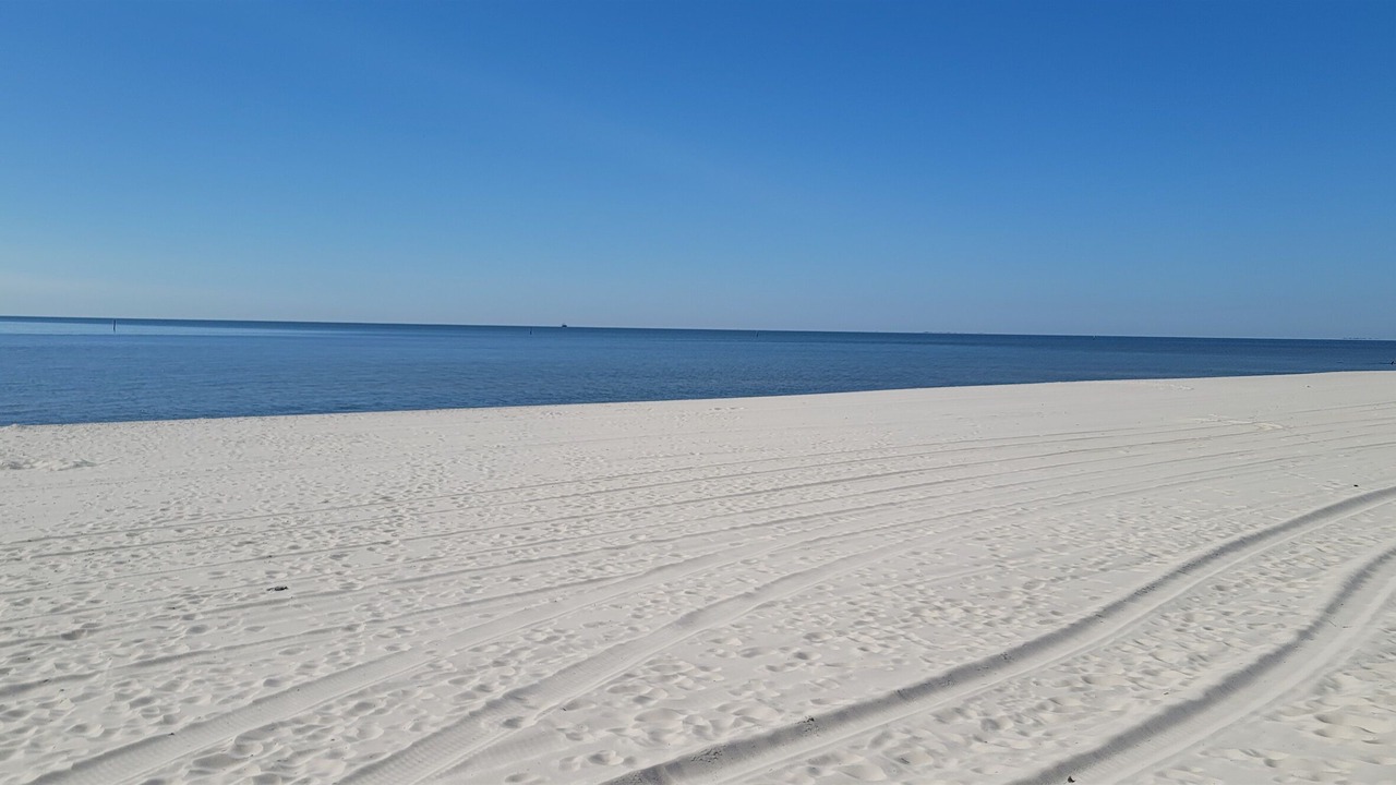 Photo of Others in Henderson Point