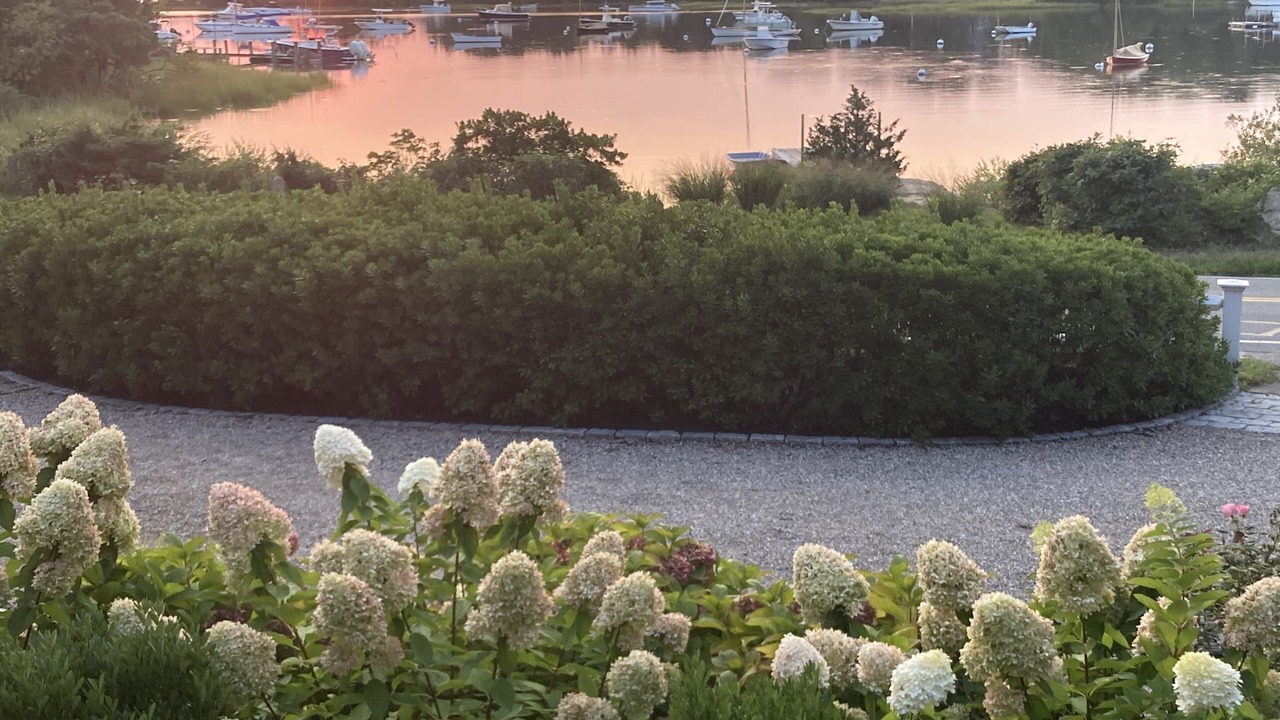 Photo of Outdoor in West Falmouth