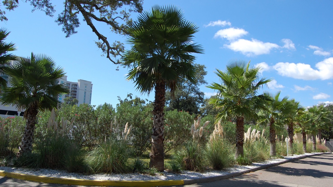 Photo of Outdoor in Gulfport
