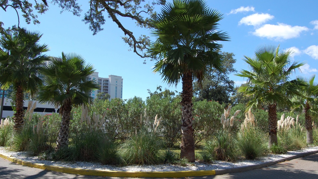 Photo of Outdoor in Gulfport