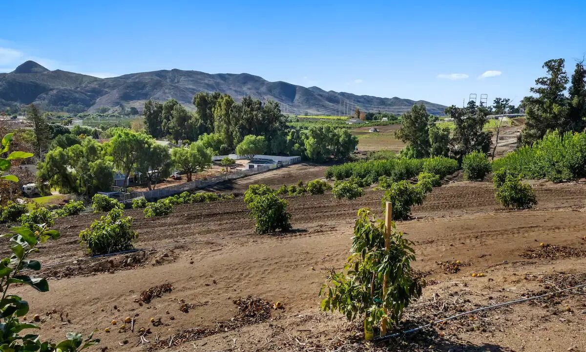 Photo of Others in Camarillo