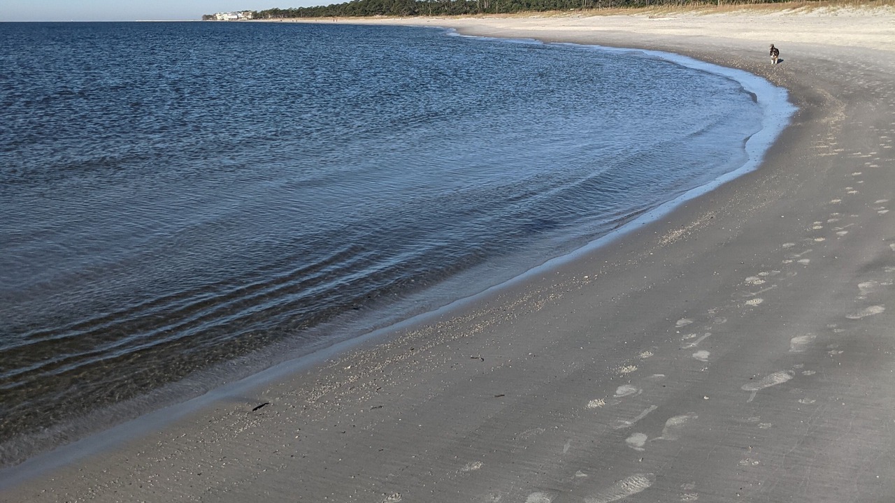 Photo of Others in Dauphin Island