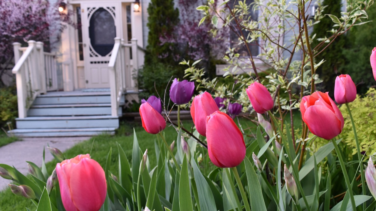 Photo of Outdoor in Prince Edward