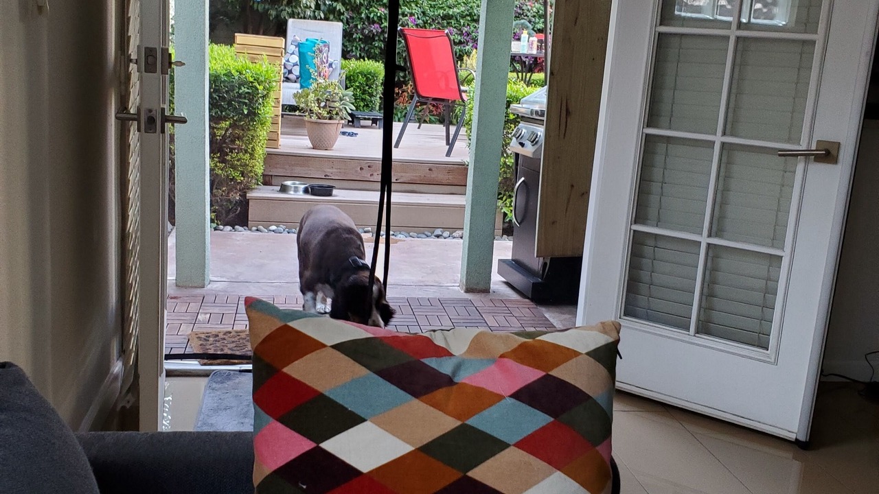 Photo of Patio Balcony in East Village