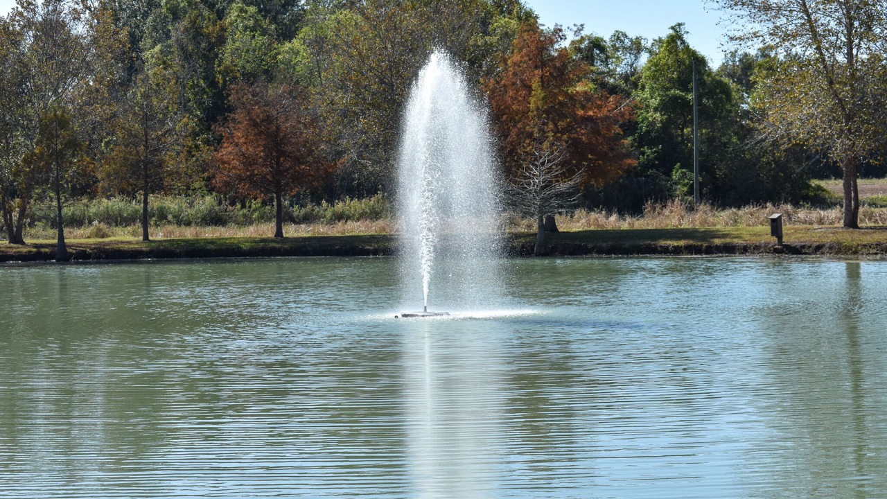 Photo of Outdoor in Youngsville