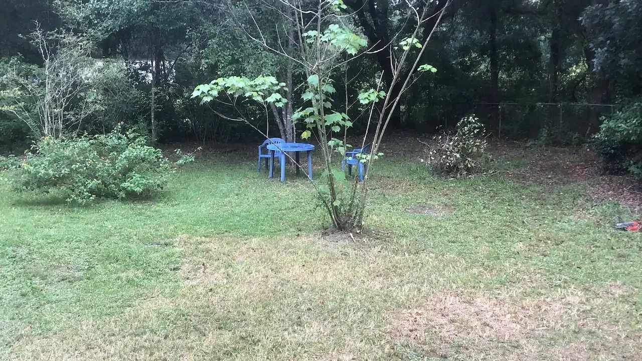 Photo of Outdoor in Saint Elmo