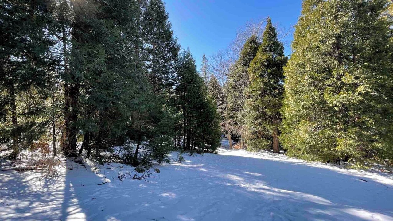 Photo of Outdoor in Cedarpines Park