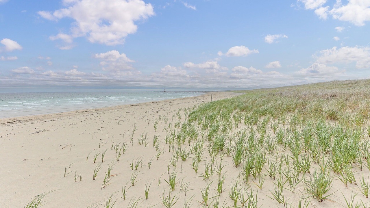 Photo of Others in Sagamore Beach