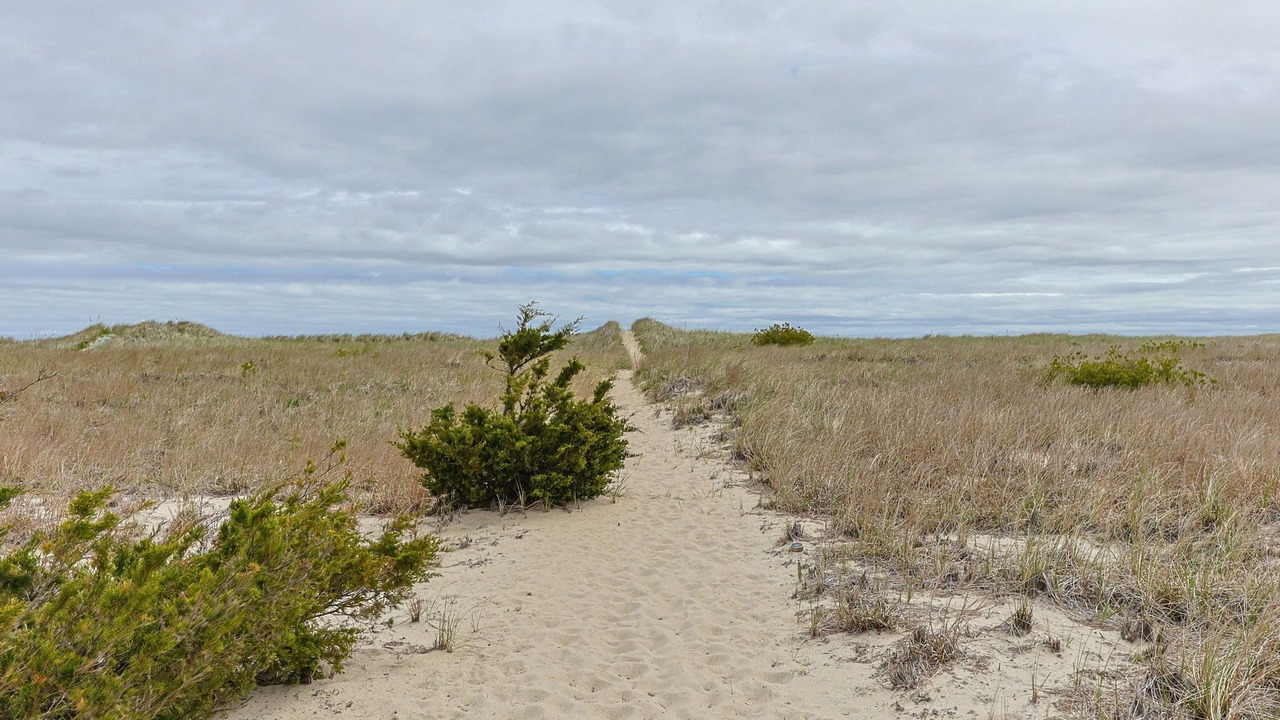 Photo of Others in Sagamore Beach