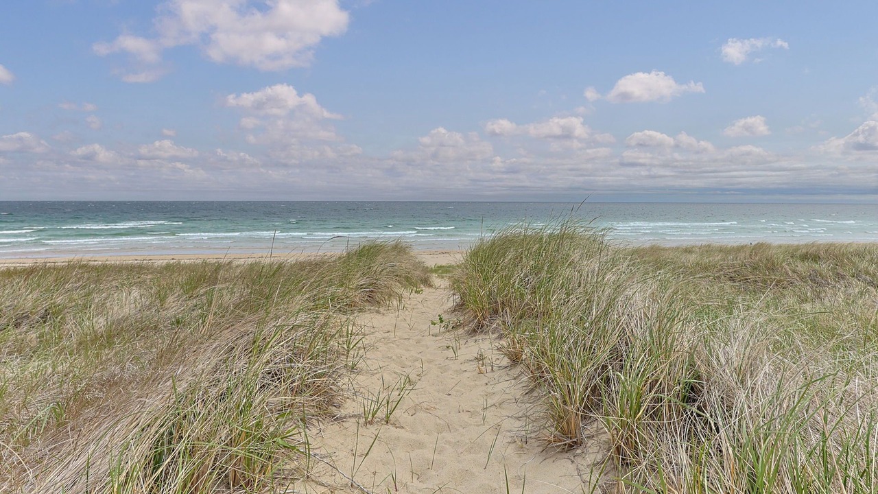 Photo of Others in Sagamore Beach