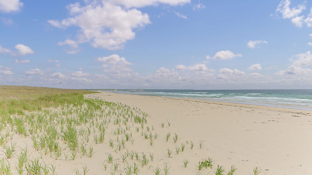 Photo of Others in Sagamore Beach