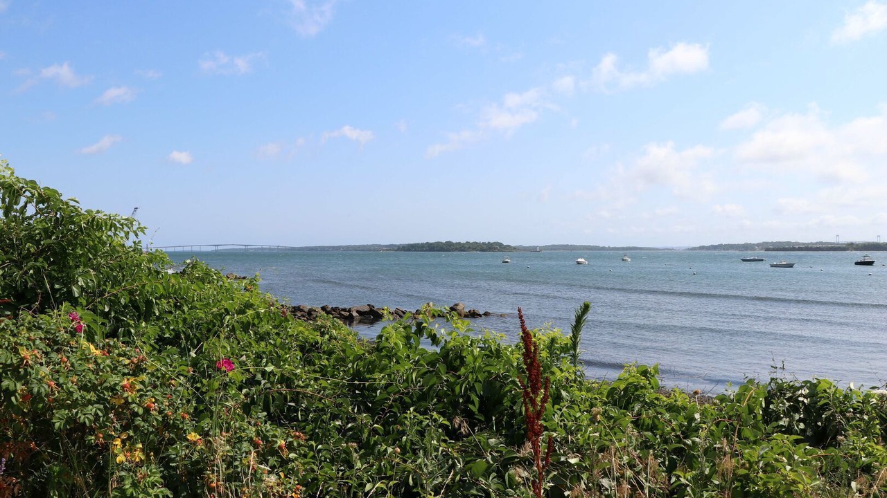 Photo of Others in Bonnet Shores