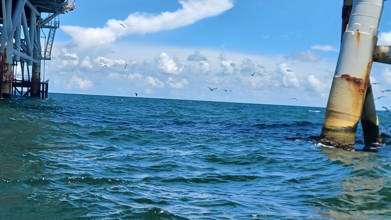 Photo of Others in Fort Morgan Pines