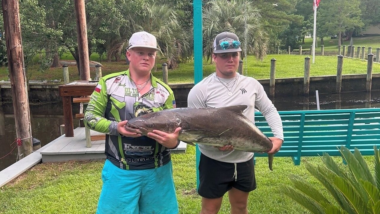 Photo of Others in Gautier
