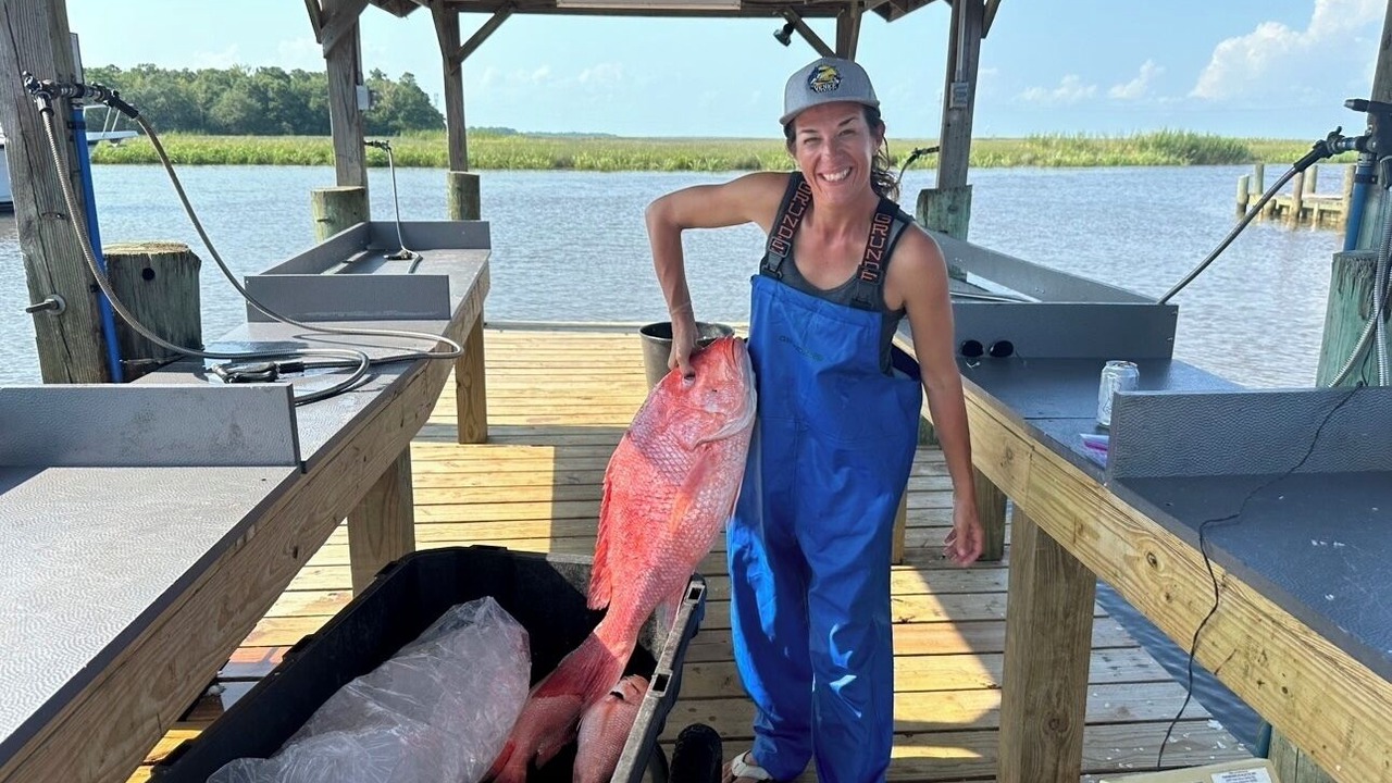 Photo of Others in Gautier
