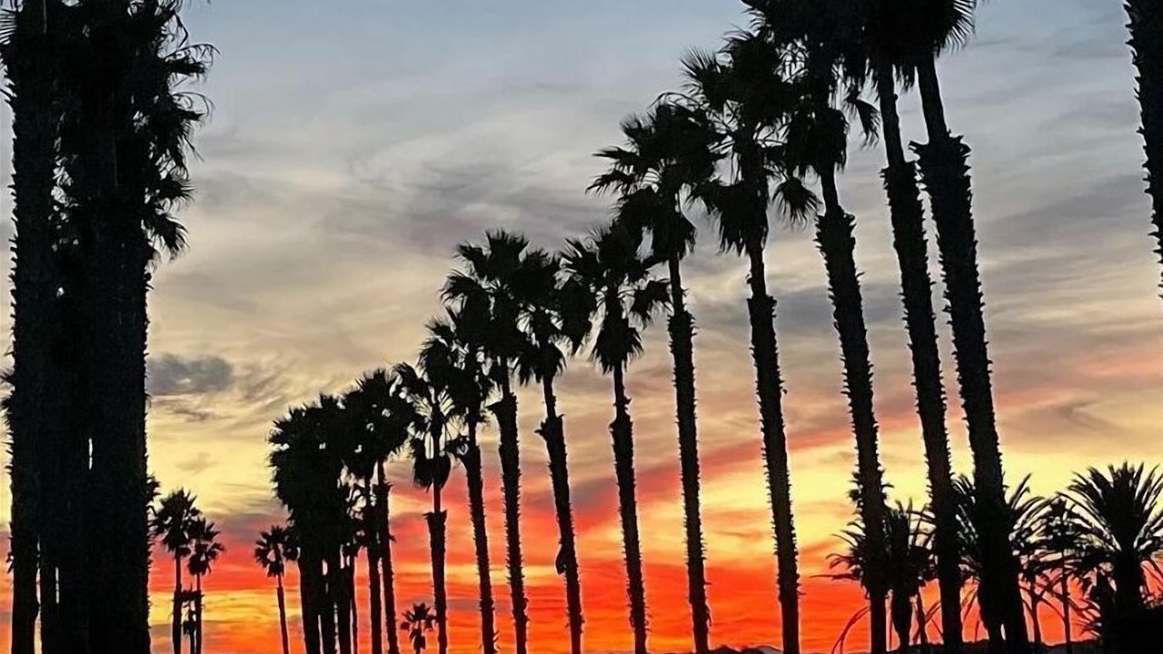 Photo of Others in Oxnard Shores