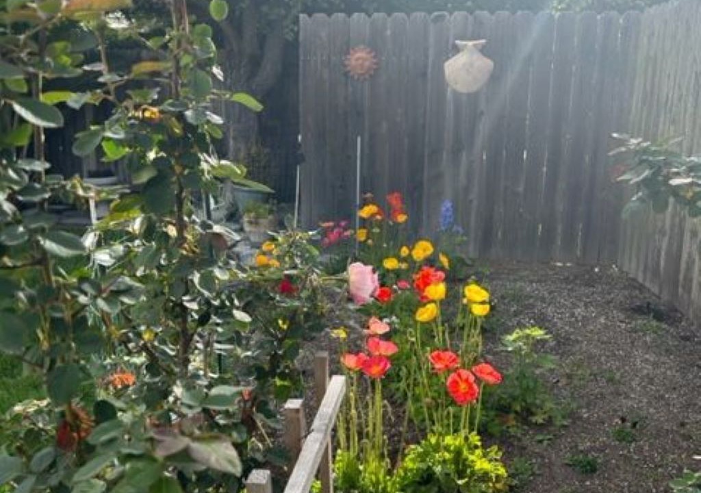 Photo of Outdoor in Oxnard Shores