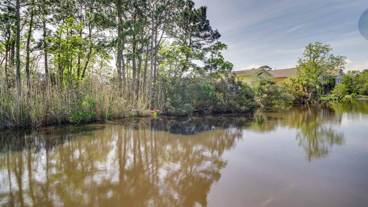 Photo of Outdoor in Shoreline Park