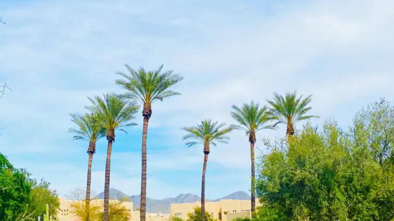 Photo of Others in Central Scottsdale