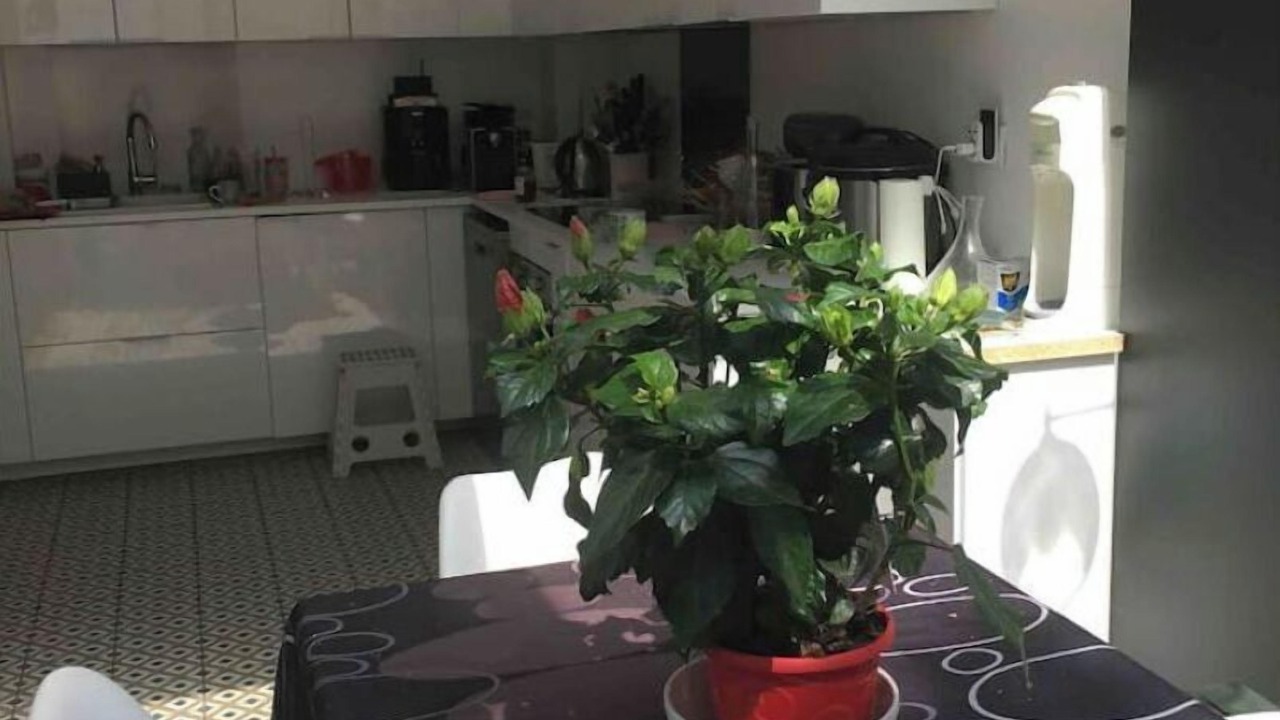 Photo of Kitchen in Vanves