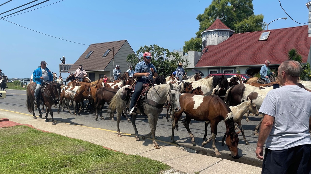 Photo of Outdoor in Chincoteague
