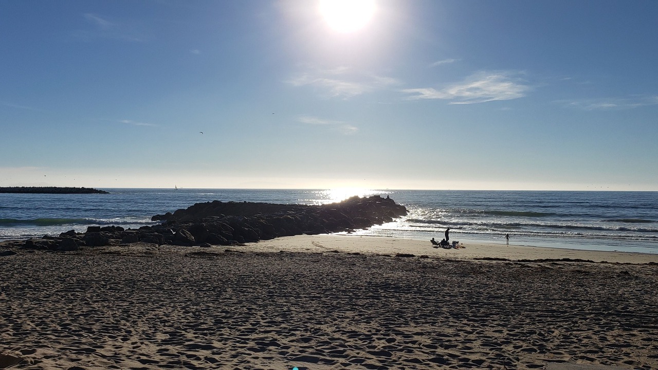 Photo of Others in Pierpont Bay