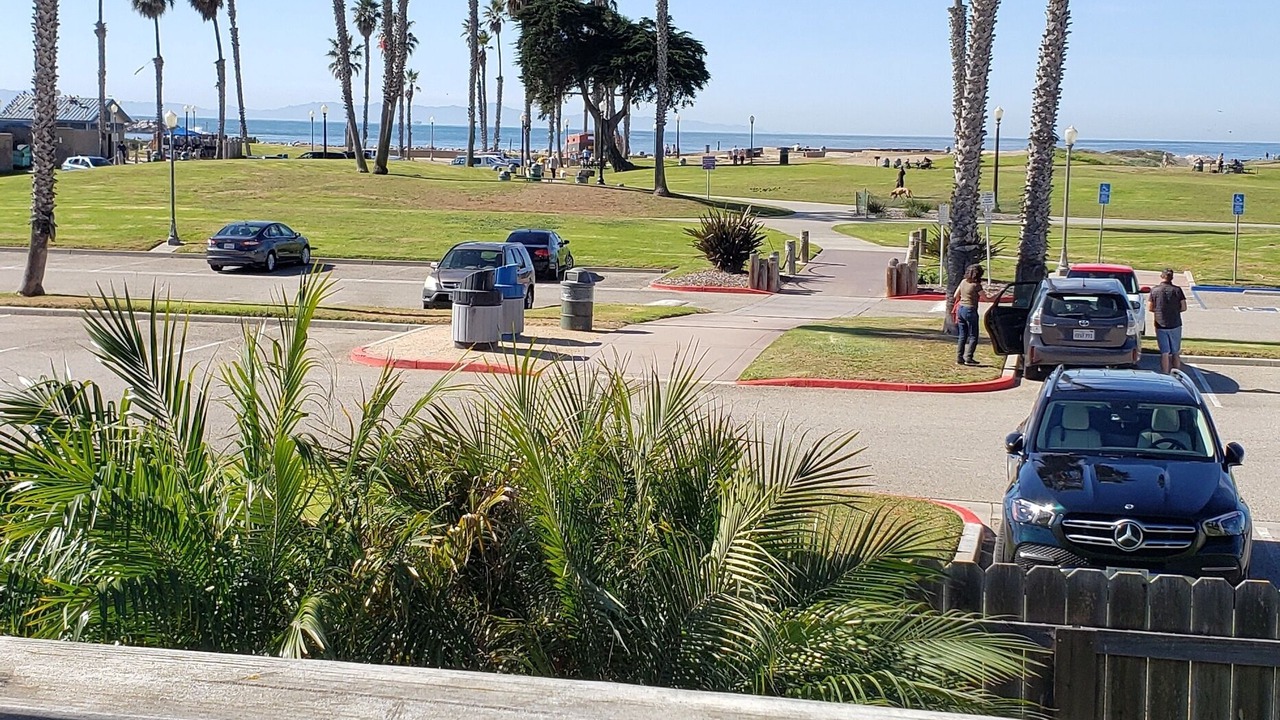 Photo of Outdoor in Pierpont Bay
