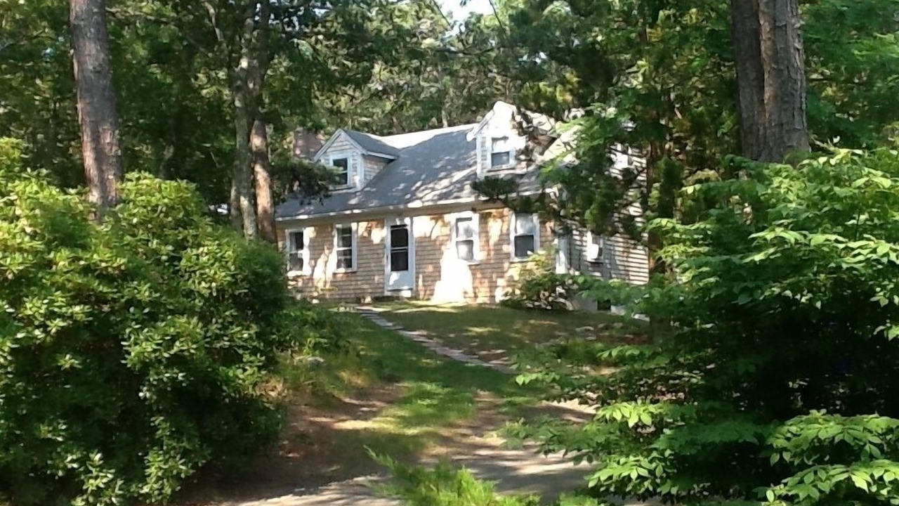 Photo of Others in East Harwich