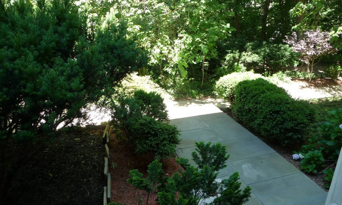 Photo of Outdoor in Mount Pleasant