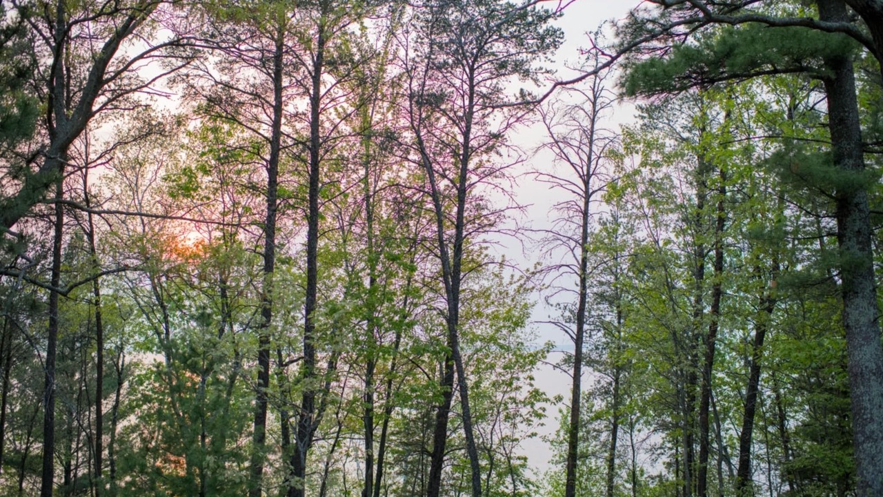 Photo of Outdoor in Nekoosa