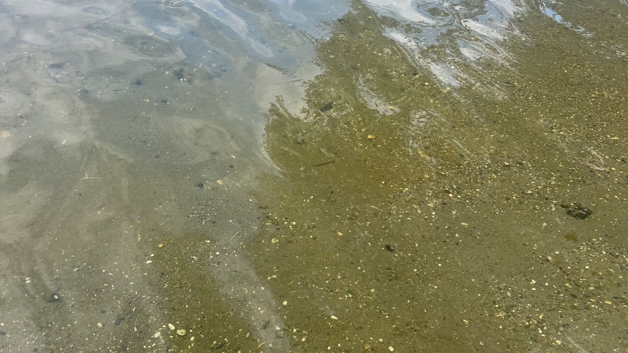 Photo of Others in Detroit Lakes