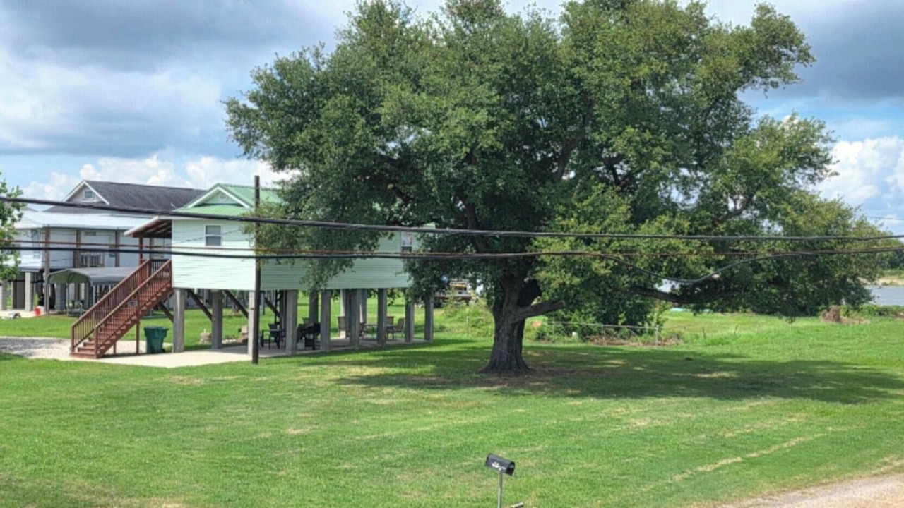 Photo of Outdoor in Lafitte