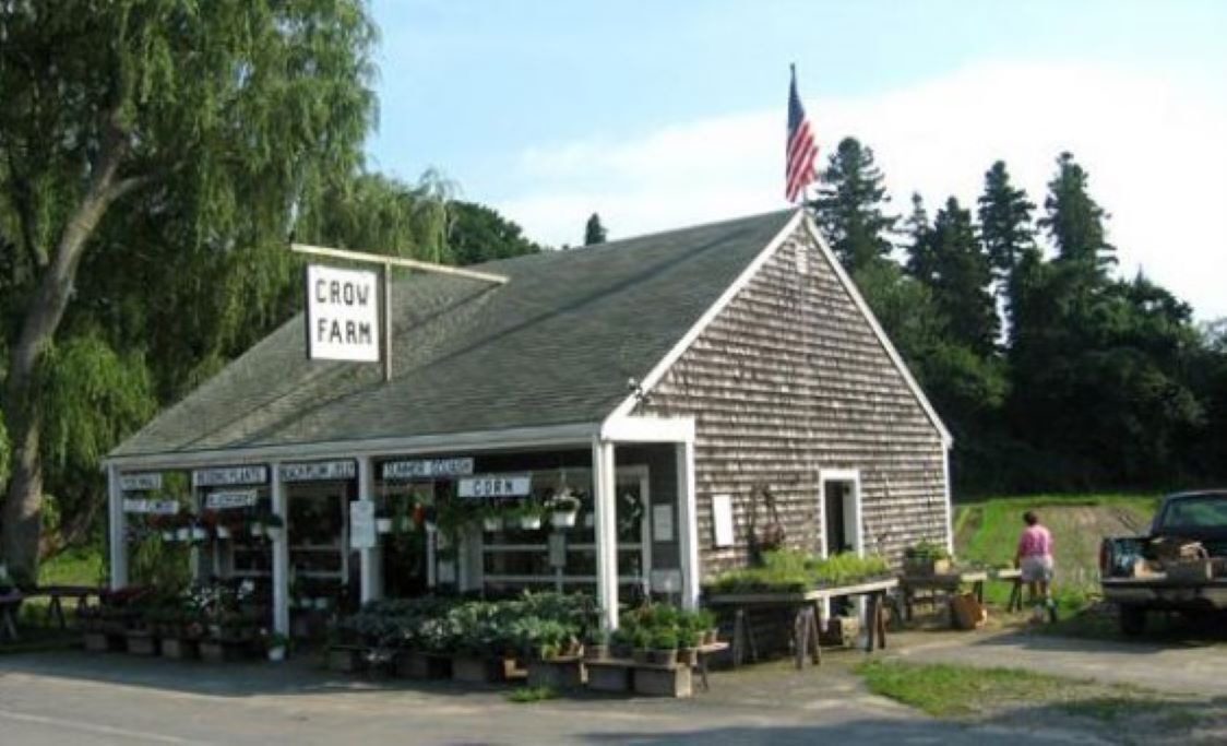 Photo of Others in Sandwich