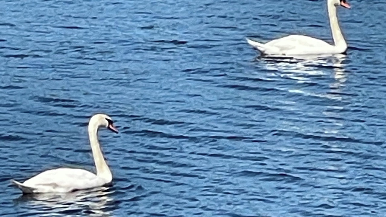 Photo of Others in Dighton