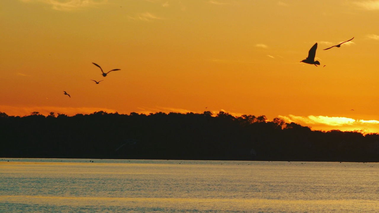Photo of Others in Barnstable