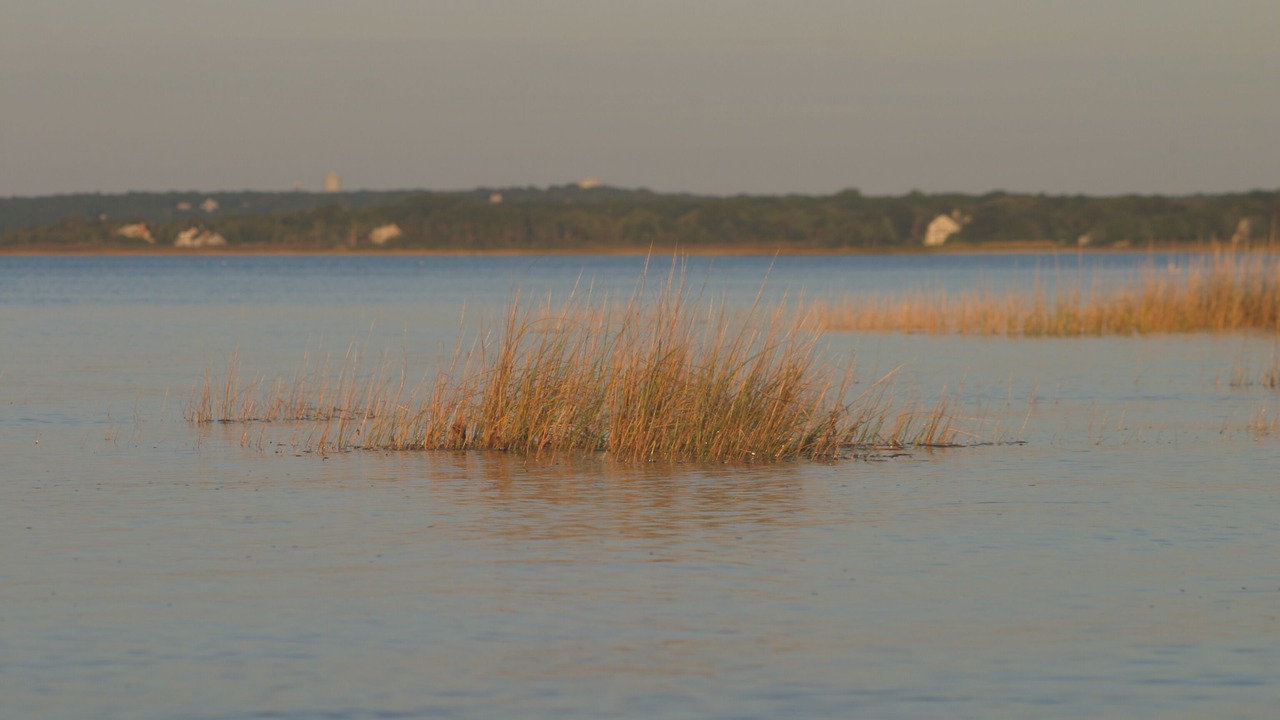 Photo of Others in Barnstable