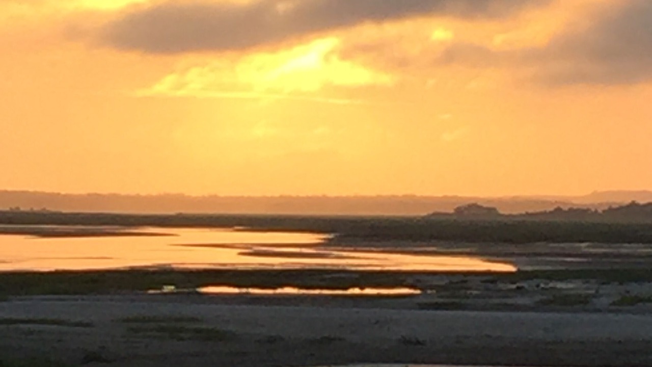 Photo of Others in Barnstable