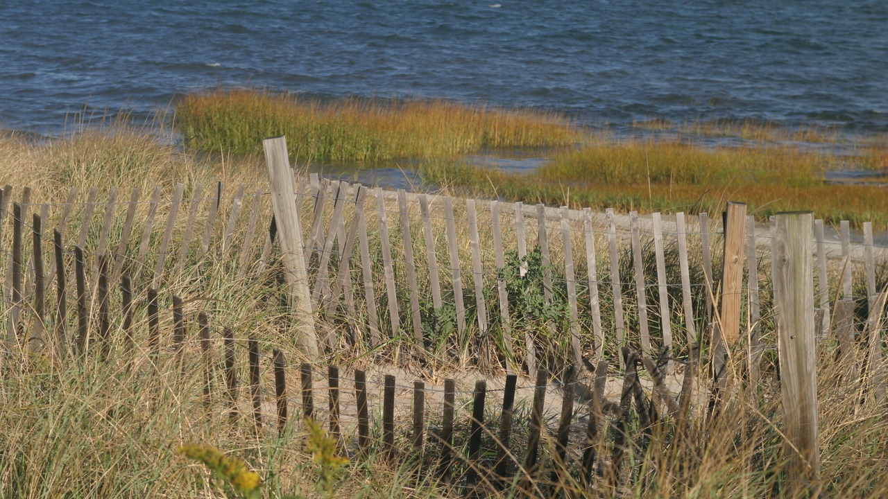 Photo of Others in Barnstable