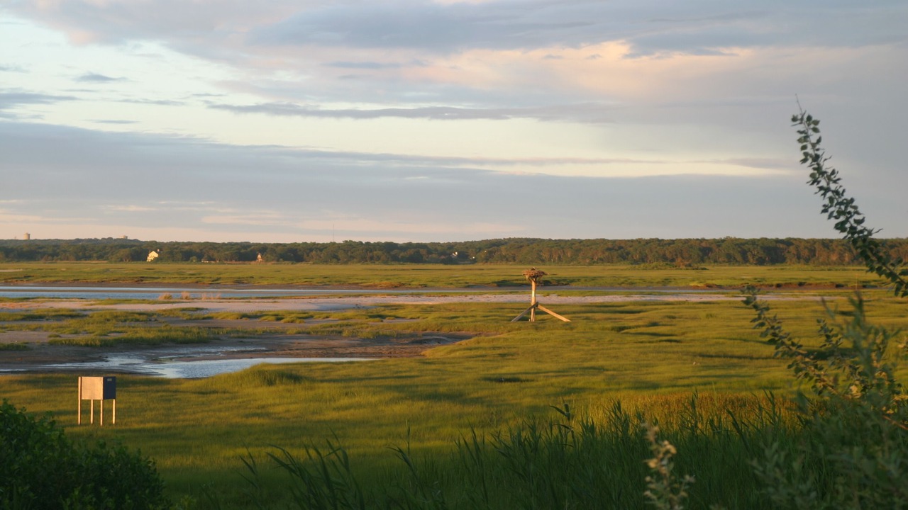Photo of Others in Barnstable