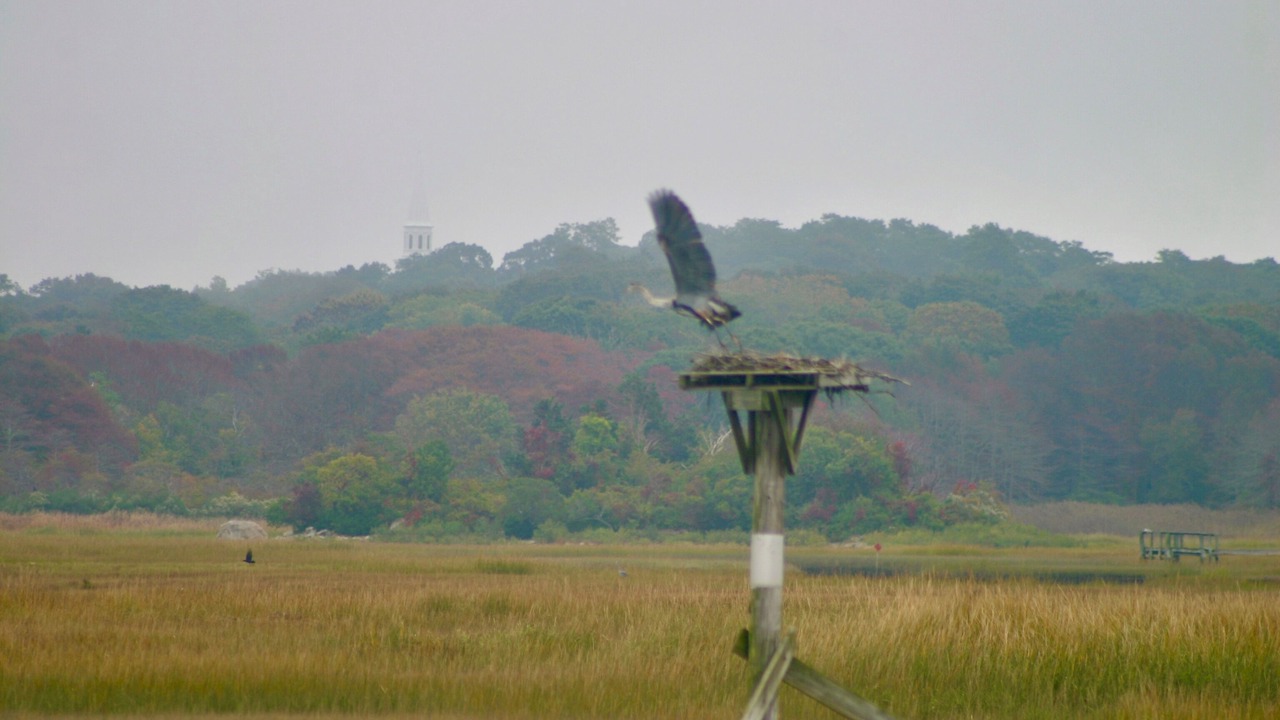 Photo of Others in Barnstable