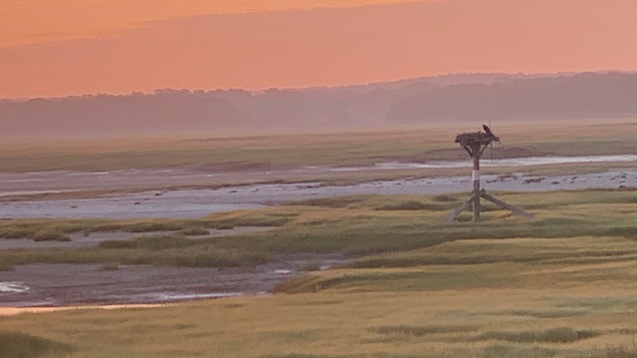 Photo of Others in Barnstable