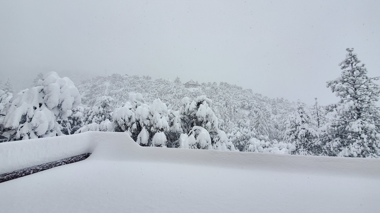 Photo of Others in Pine Mountain Club