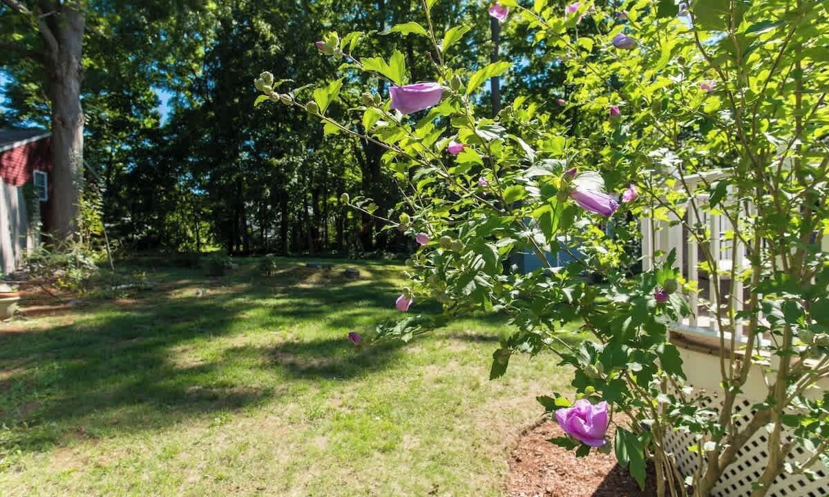 Photo of Outdoor in Woburn
