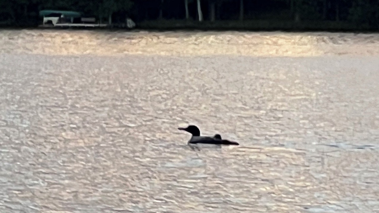 Photo of Others in Eagle River