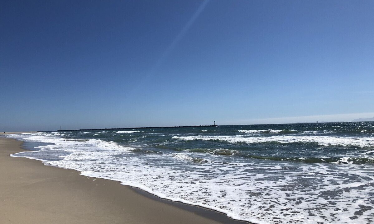 Photo of Others in Hollywood Beach